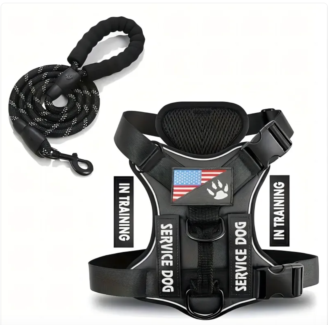 Adjustable Dog Harness & Leash Set