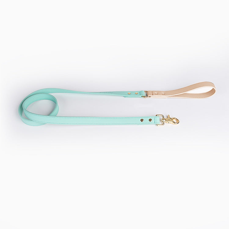 Leather Dog Leash & Collar
