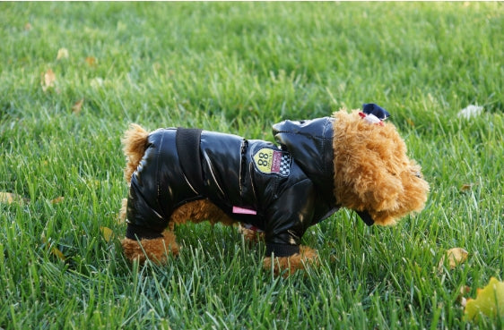 Autumn Winter Pet Down Cotton Jacket for Dogs