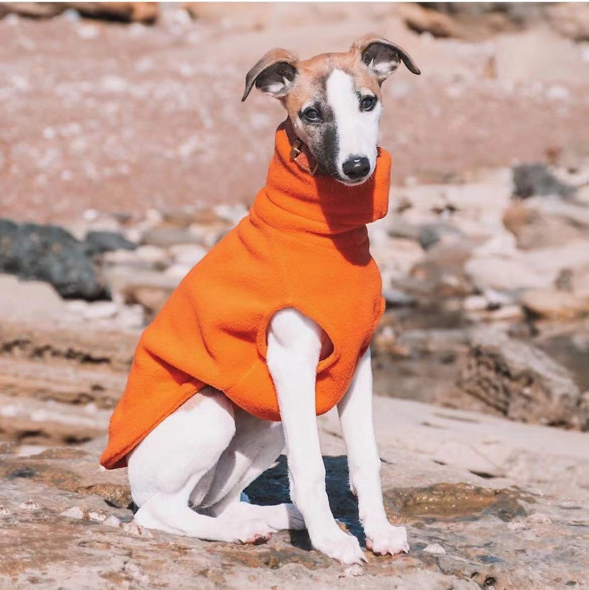 Soft Polar Fleece Turtleneck for Dogs
