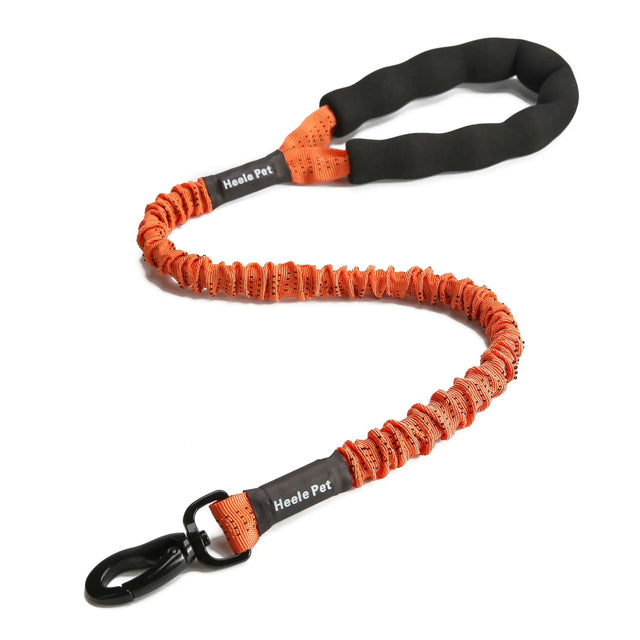 Cushioned Flexible Dog Leash with Elastic Buffering