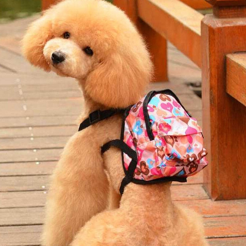 Pet Dog Leash with Convenient Carry Bag
