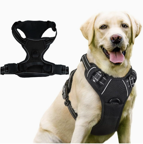 Dog Traction Vest with Leash Harness