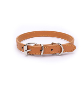 Cat and Dog Collar with Leash