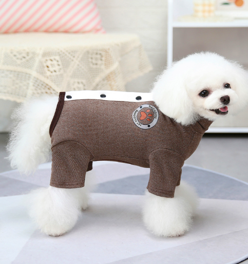 Winter Teddy Clothes for Small Dogs