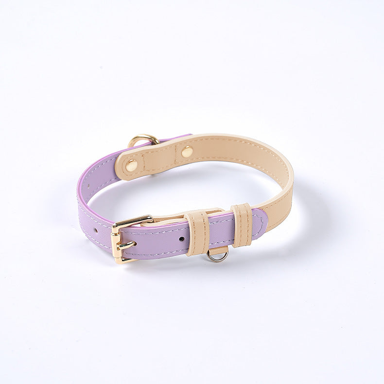 Leather Dog Leash & Collar