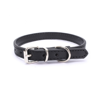 Cat and Dog Collar with Leash
