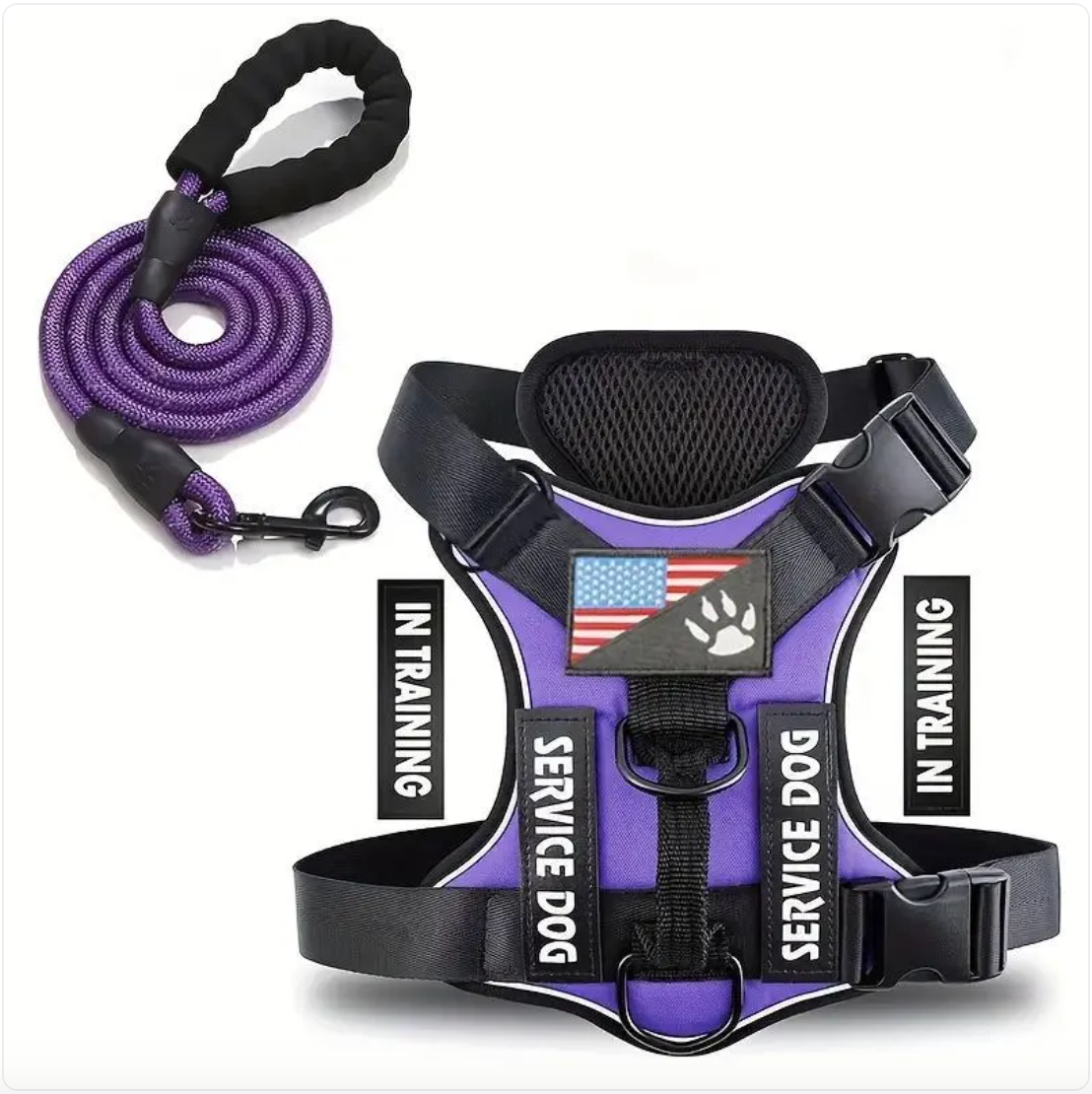 Adjustable Dog Harness & Leash Set